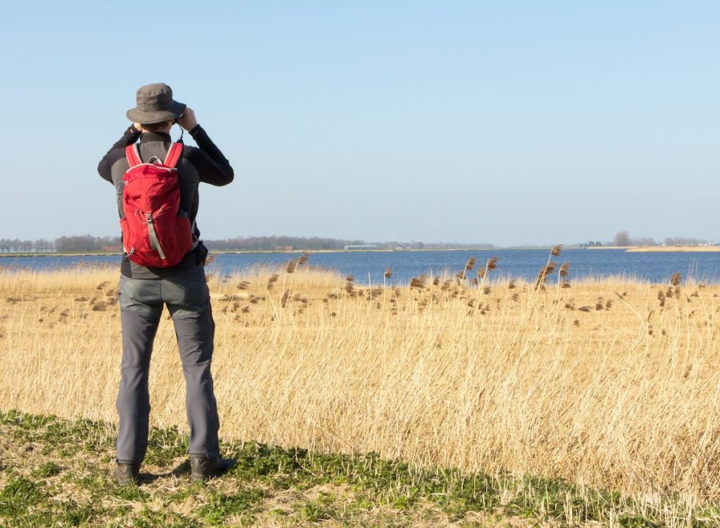 Man birdwatching in wetlands.