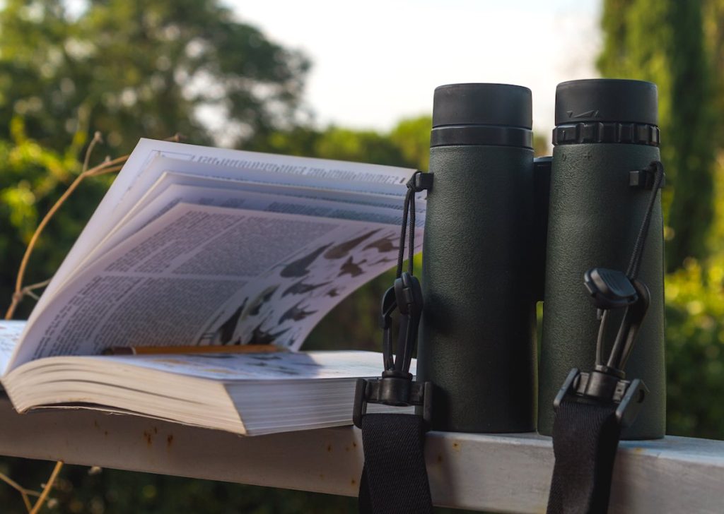 A pair of binoculars and a field guide for identifying birds.
