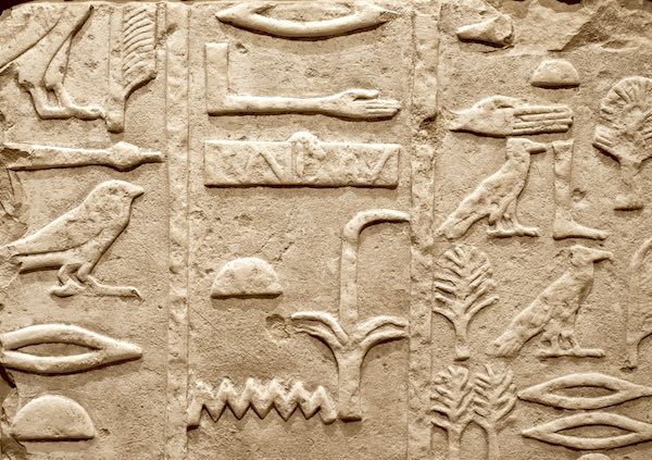 Egyptian hieroglyphics and the history of birdwatching.