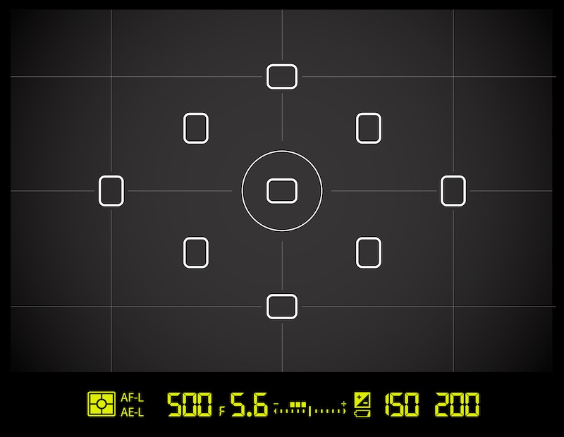 Example of a camera viewfinder with shutter speed, aperture, and ISO.